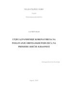 Utjecaj pandemije koronavirusa na poslovanje obiteljskih poduzeća na primjeru dječje igraonice 
 