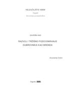 Razvoj i tržišno pozicioniranje Dubrovnika kao brenda