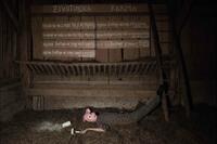 Orwell u kolažu: fokalizacija Orwellove “Životinjske farme” u kolekciju fotografija