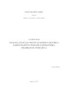 Analiza značaja motivacijskih faktora i zadovoljstvo poslom zaposlenika odabranog poduzeća