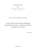 Utjecaj krize uzrokovane pandemijom koronavirusa na mala i srednja poduzeća u Republici Hrvatskoj