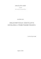 Analiza motivacije i zadovoljstva zaposlenika u promatranom poduzeću