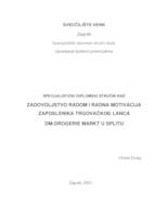 prikaz prve stranice dokumenta Zadovoljstvo radom i radna motivacija zaposlenika trgovačkog lanca dm-drogerie markt u Splitu